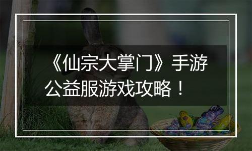 《仙宗大掌门》手游公益服游戏攻略！