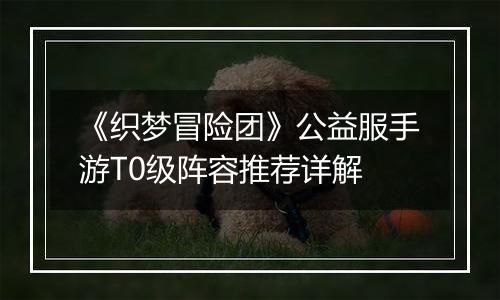 《织梦冒险团》公益服手游T0级阵容推荐详解