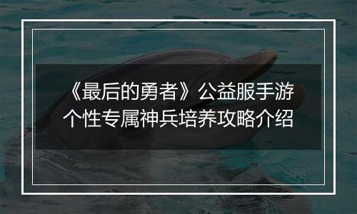 《最后的勇者》公益服手游个性专属神兵培养攻略介绍
