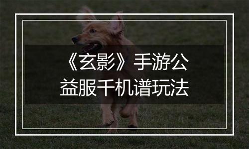 《玄影》手游公益服千机谱玩法
