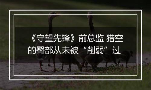 《守望先锋》前总监 猎空的臀部从未被“削弱”过