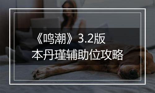《鸣潮》3.2版本丹瑾辅助位攻略