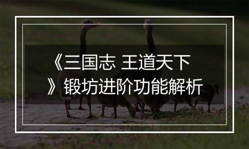 《三国志 王道天下》锻坊进阶功能解析