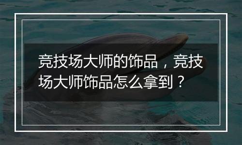 竞技场大师的饰品，竞技场大师饰品怎么拿到？