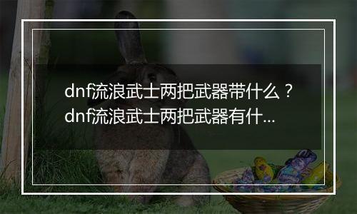 dnf流浪武士两把武器带什么?dnf流浪武士两把武器有什么用