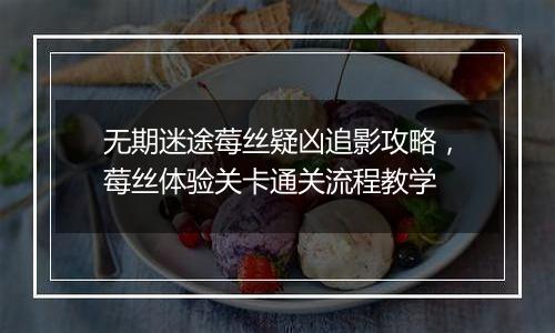 无期迷途莓丝疑凶追影攻略，莓丝体验关卡通关流程教学