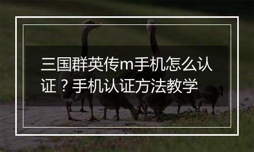 三国群英传m手机怎么认证？手机认证方法教学