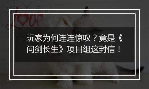 玩家为何连连惊叹?竟是《问剑长生》项目组这封信!