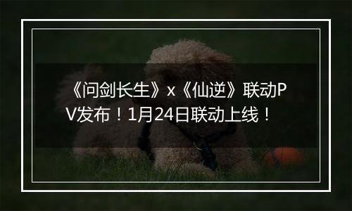 《问剑长生》x《仙逆》联动PV发布!1月24日联动上线! 《问剑长生》x《仙逆》联动PV发布!1月24日联动上线!