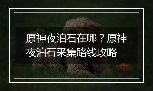 原神夜泊石在哪？原神夜泊石采集路线攻略