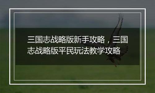 三国志战略版新手攻略，三国志战略版平民玩法教学攻略