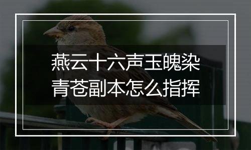 燕云十六声玉魄染青苍副本怎么指挥