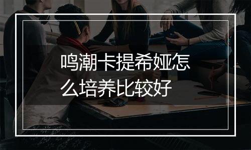 鸣潮卡提希娅怎么培养比较好