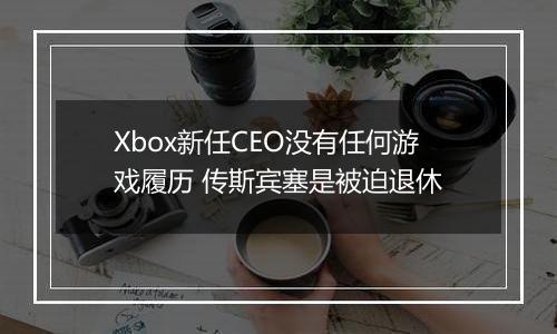 Xbox新任CEO没有任何游戏履历 传斯宾塞是被迫退休