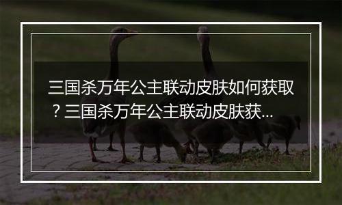 三国杀万年公主联动皮肤如何获取？三国杀万年公主联动皮肤获取方法