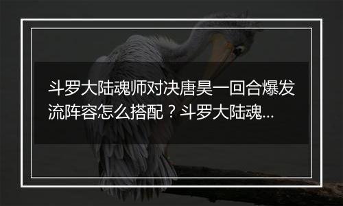 斗罗大陆魂师对决唐昊一回合爆发流阵容怎么搭配？斗罗大陆魂师对决唐昊一回合爆发流阵容介绍