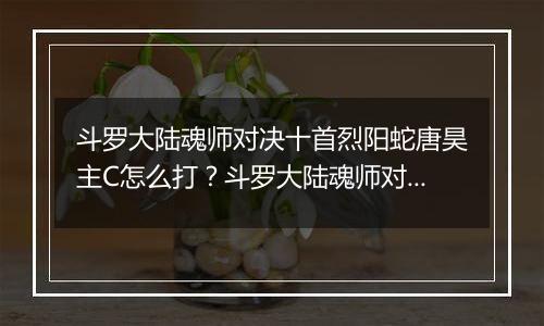 斗罗大陆魂师对决十首烈阳蛇唐昊主C怎么打？斗罗大陆魂师对决十首烈阳蛇唐昊主C打法介绍