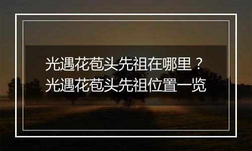 光遇花苞头先祖在哪里？光遇花苞头先祖位置一览