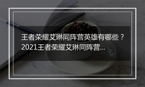 王者荣耀艾琳同阵营英雄有哪些？2021王者荣耀艾琳同阵营英雄介绍