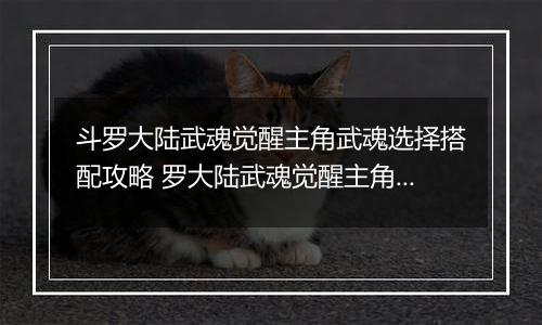 斗罗大陆武魂觉醒主角武魂选择搭配攻略 罗大陆武魂觉醒主角武魂怎么搭配？