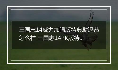三国志14威力加强版特典尉迟恭怎么样 三国志14PK版特典人物尉迟恭背景介绍