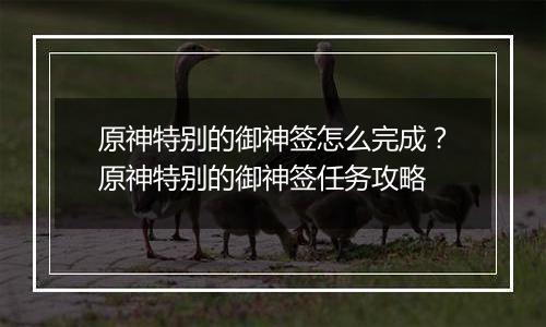 原神特别的御神签怎么完成？原神特别的御神签任务攻略