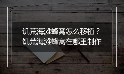 饥荒海滩蜂窝怎么移植?饥荒海滩蜂窝在哪里制作