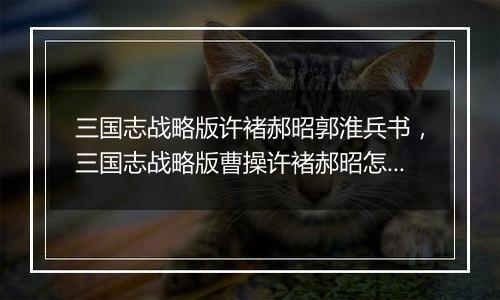 三国志战略版许褚郝昭郭淮兵书，三国志战略版曹操许褚郝昭怎么搭配战法？