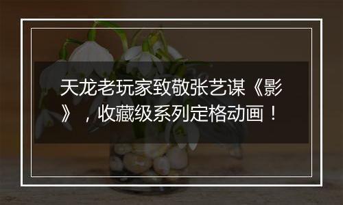 天龙老玩家致敬张艺谋《影》，收藏级系列定格动画！