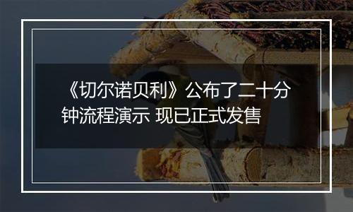 《切尔诺贝利》公布了二十分钟流程演示 现已正式发售
