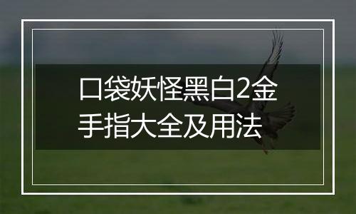 口袋妖怪黑白2金手指大全及用法