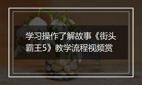 学习操作了解故事《街头霸王5》教学流程视频赏