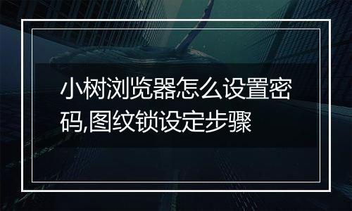 小树浏览器怎么设置密码,图纹锁设定步骤