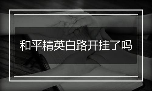和平精英白路开挂了吗
