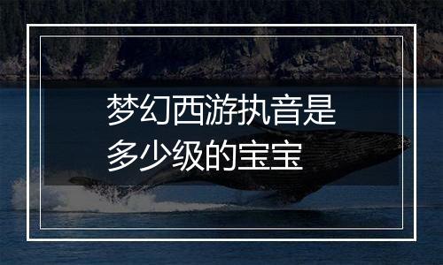 梦幻西游执音是多少级的宝宝