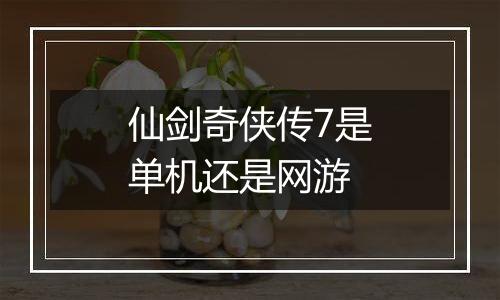 仙剑奇侠传7是单机还是网游