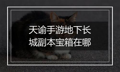 天谕手游地下长城副本宝箱在哪