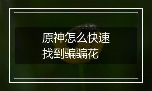 原神怎么快速找到骗骗花