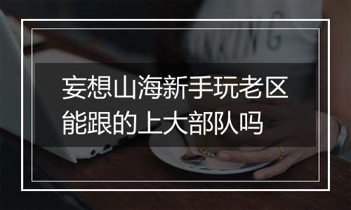 妄想山海新手玩老区能跟的上大部队吗