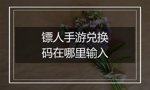 镖人手游兑换码在哪里输入