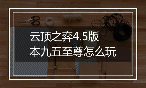云顶之弈4.5版本九五至尊怎么玩