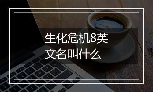 生化危机8英文名叫什么