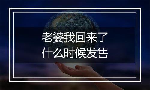 老婆我回来了什么时候发售