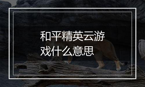 和平精英云游戏什么意思