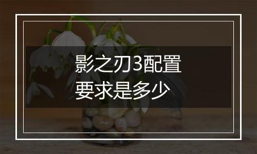 影之刃3配置要求是多少