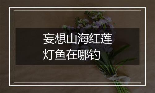 妄想山海红莲灯鱼在哪钓