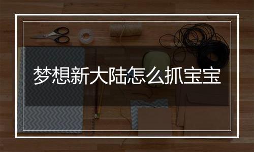 梦想新大陆怎么抓宝宝