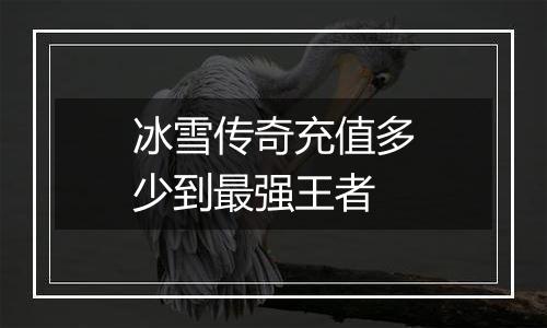 冰雪传奇充值多少到最强王者