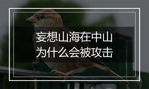 妄想山海在中山为什么会被攻击