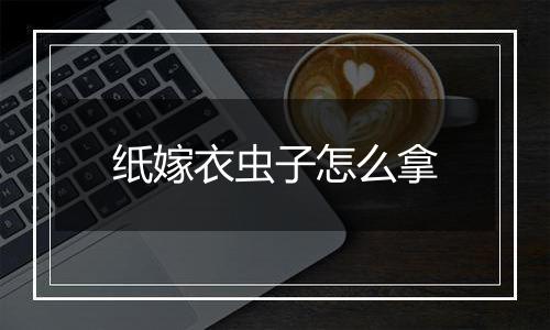 纸嫁衣虫子怎么拿